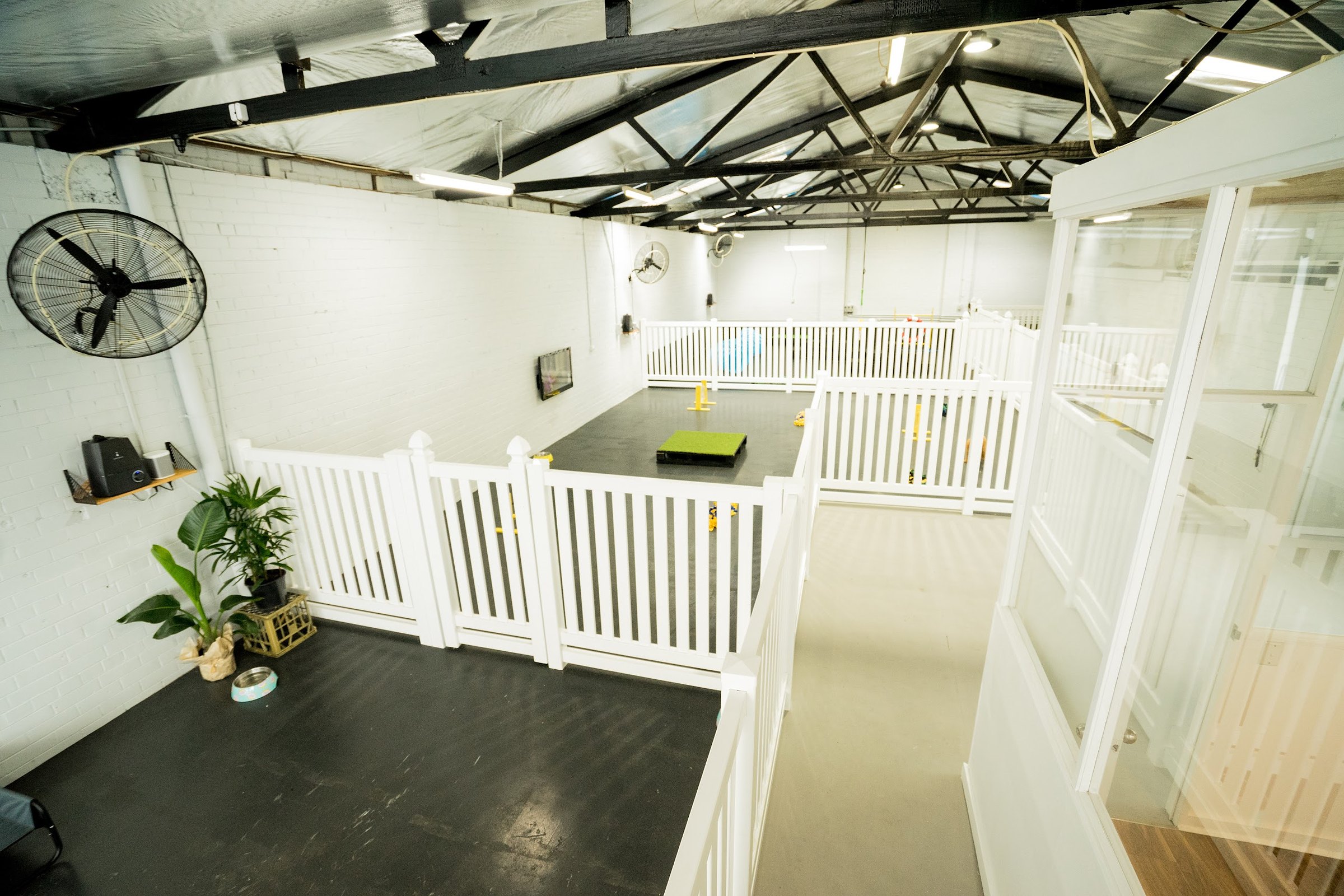 The Dognasium play room with rubber flooring and white fences